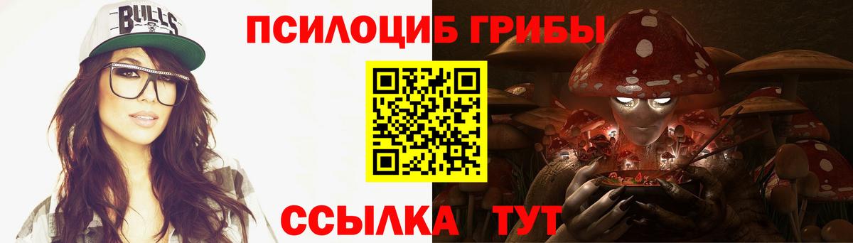 Галлюциногенные грибы Psilocybine cubensis Красноярск